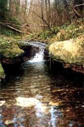 Водопад на речке Каменка, на котором мы брали воду